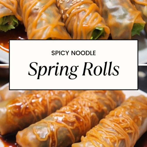 Spicy Noodle Spring Rolls