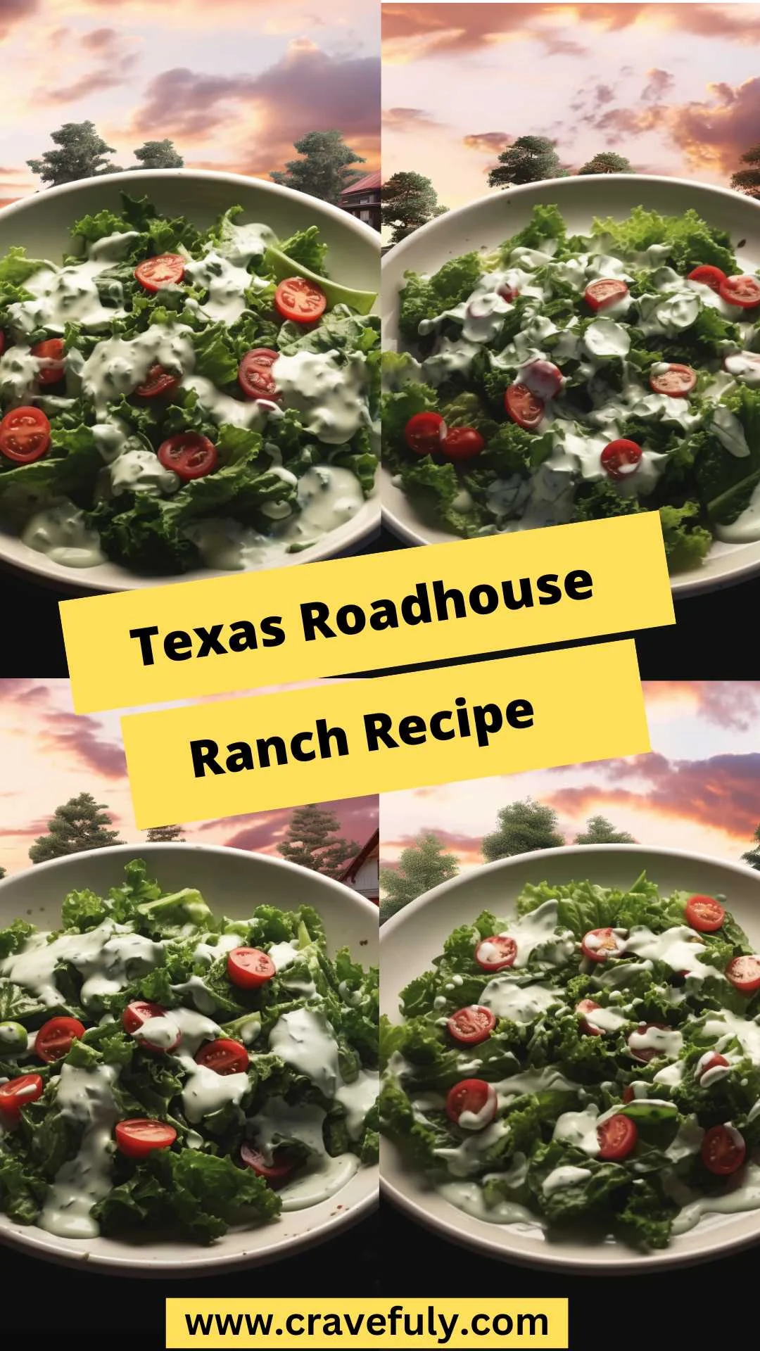 Texas Roadhouse Ranch Recipe
