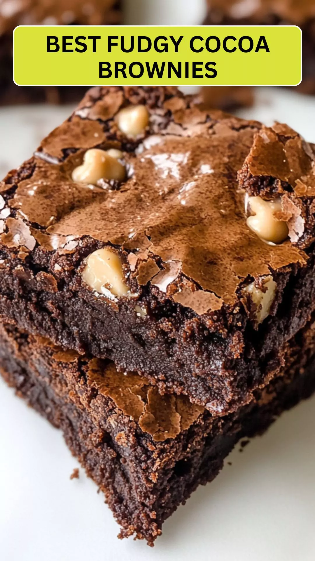 Best Fudgy Cocoa Brownies